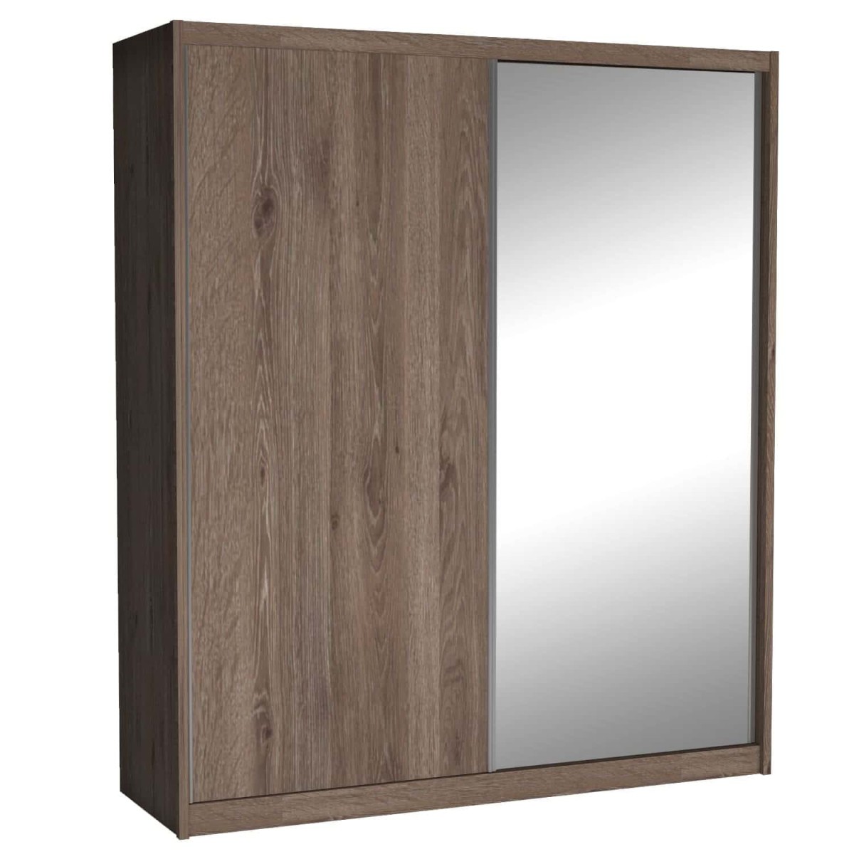 maciej DĄB TRUFLOWY bez lustra