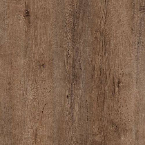 zbliżenie dąb lefkas