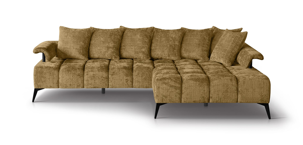 Vanessa new cremona 48 front (small).webp