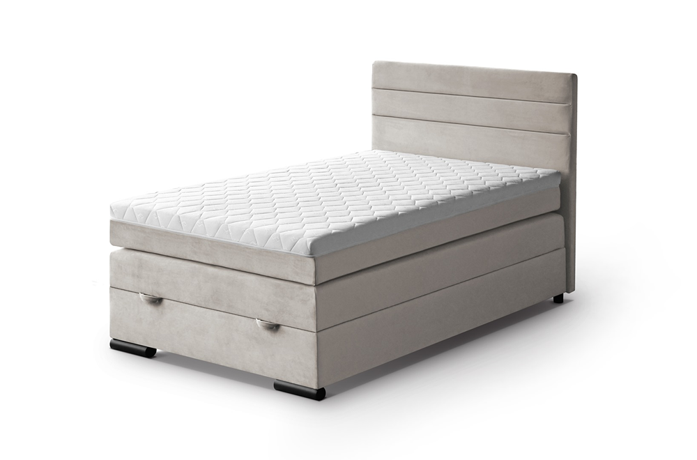 Teddy mono232