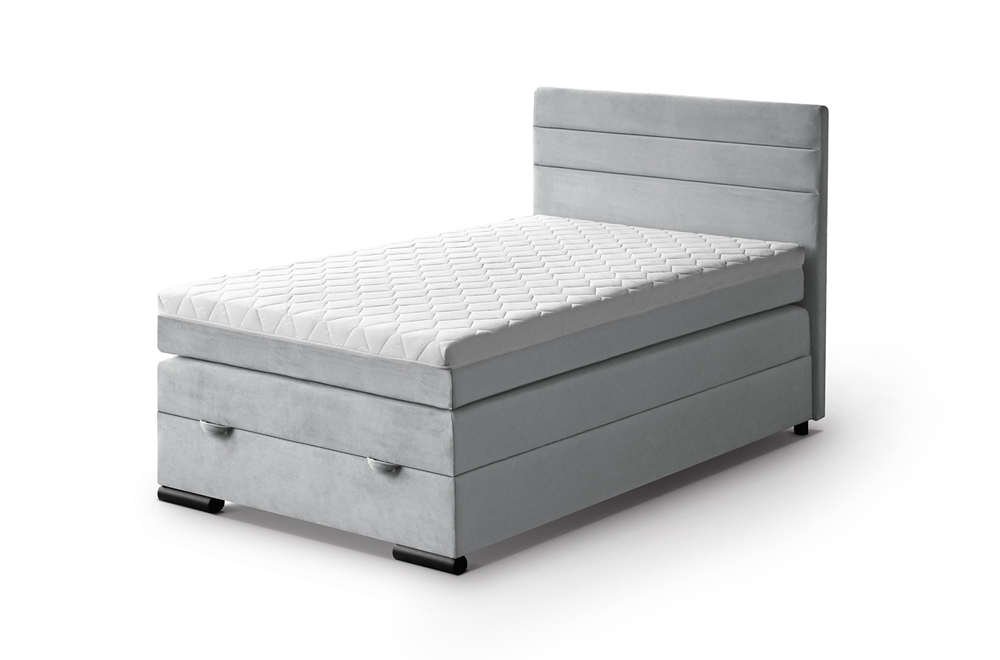 Teddy mono244