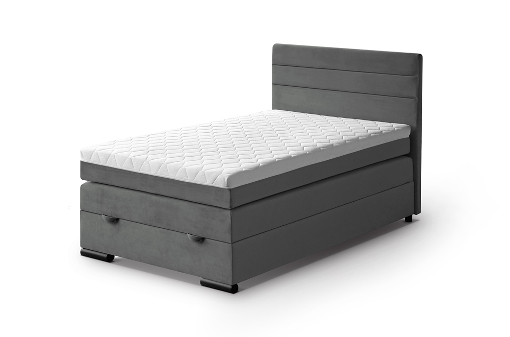 Teddy mono247
